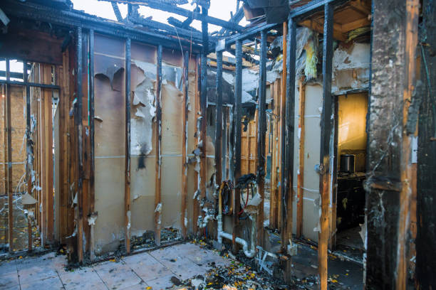 Professional Fire Damage Removal technician working in Venice, FL