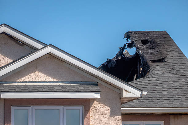 Top rated local Fire Damage Removal specialists in Venice, FL